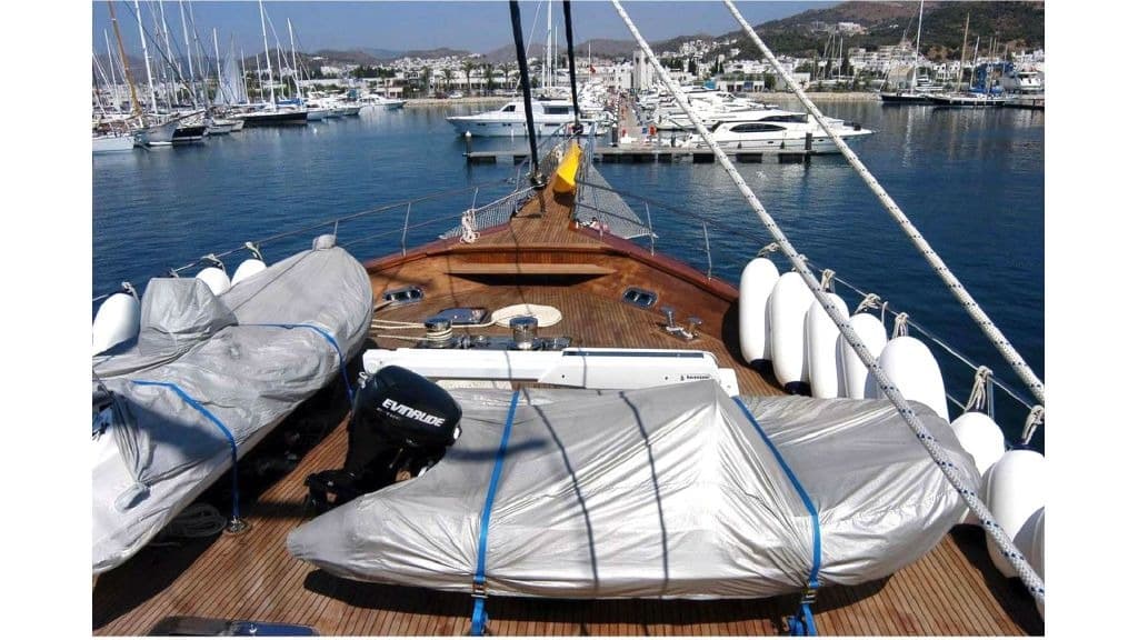 Sea Dream photo 7