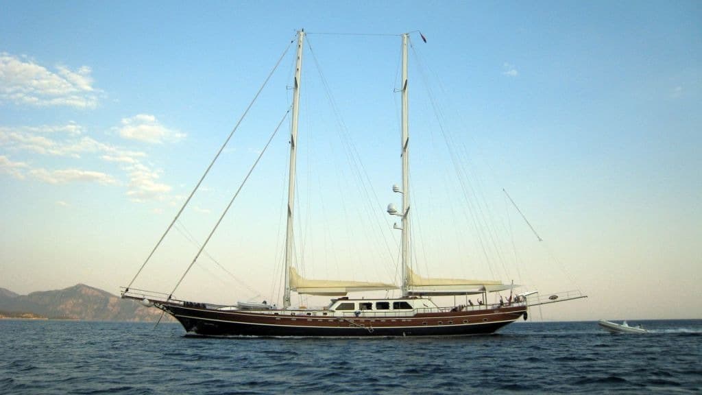 Kaya Guneri 5 photo 2