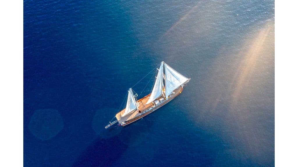 La Bella Vita photo 3