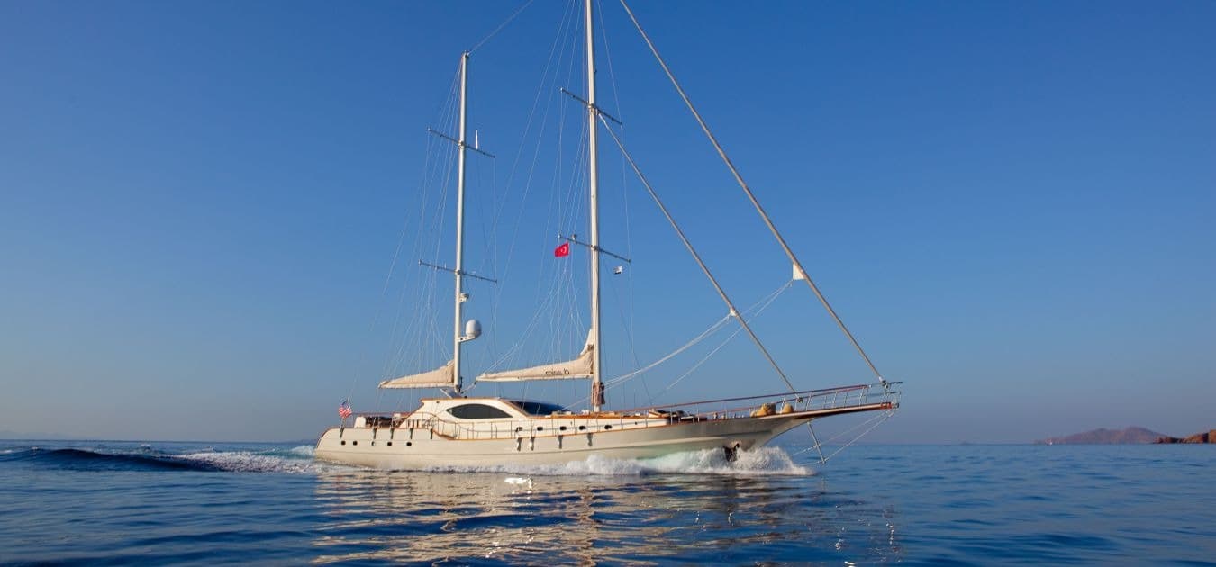 Miss B