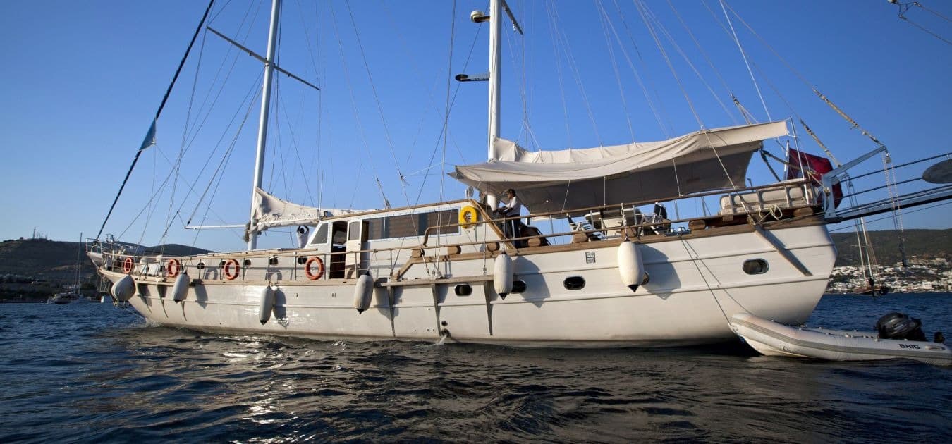 Osman Kurt photo 3